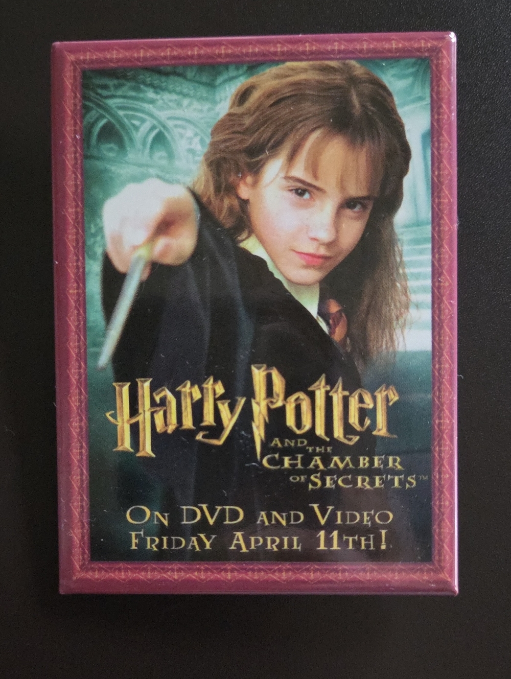 Warner Bros. 2003 Promotional Pin - Hermoine